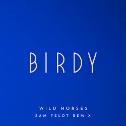 Wild Horses (Sam Feldt remix)