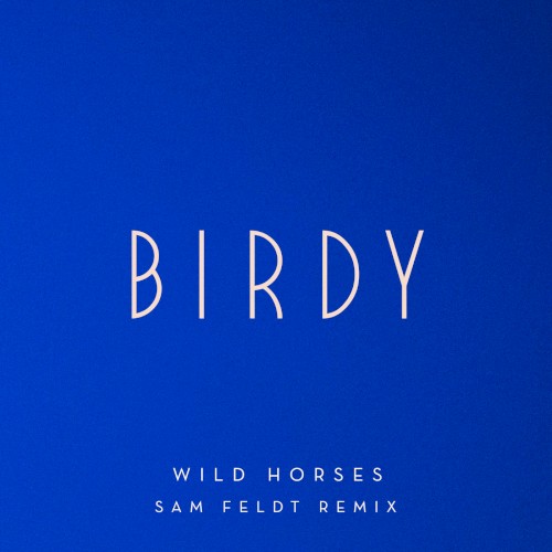 Wild Horses (Sam Feldt remix)