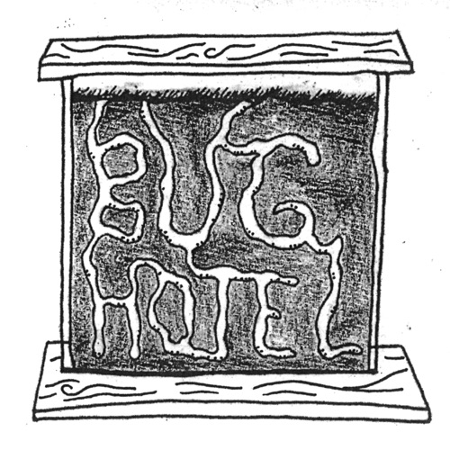 Bug Hotel