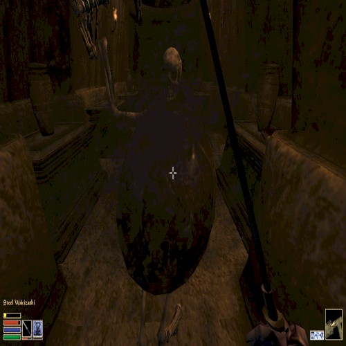 Playing the Elder Scrolls III: Morrowind (Orethi Ancestral Tomb)
