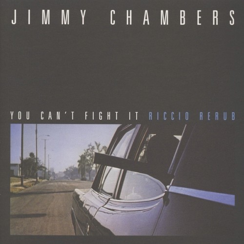 You Can't Fight It (Riccio Rerub)