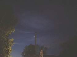 night time sings