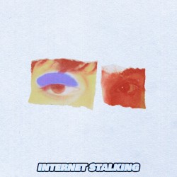 Internet Stalking