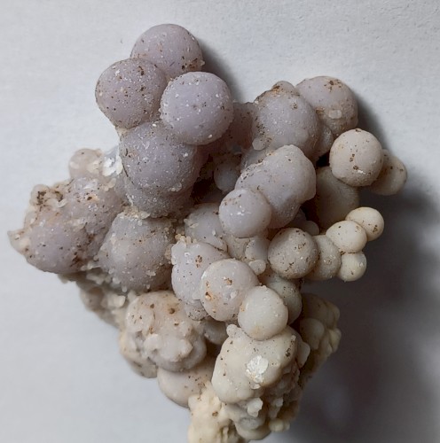 Grapes