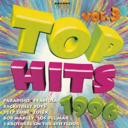 Top Hits 1996, Vol. 3