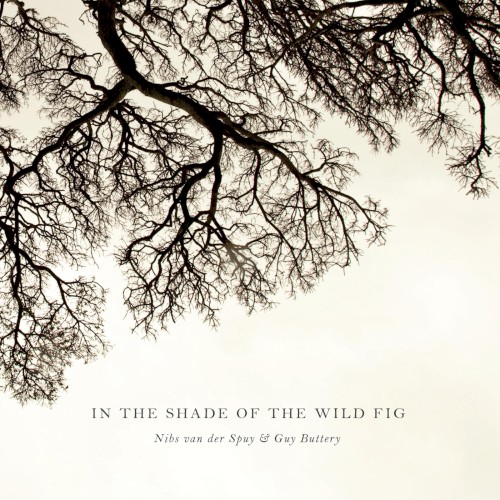In the Shade of the Wild Fig