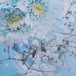 僕彩色