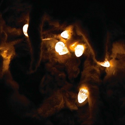 Dust Unsettled: Ten Years of Whitman
