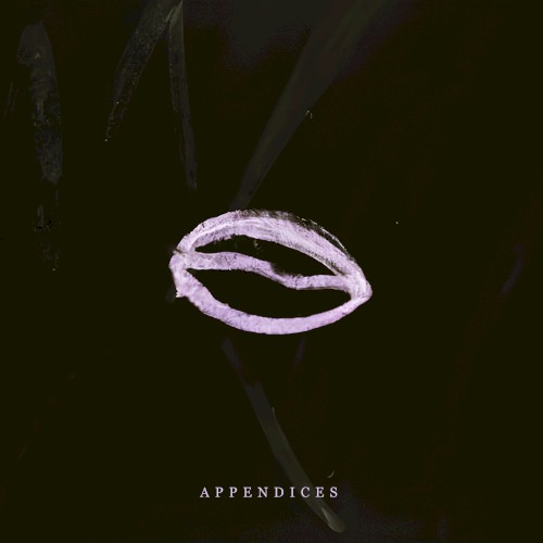 Appendices