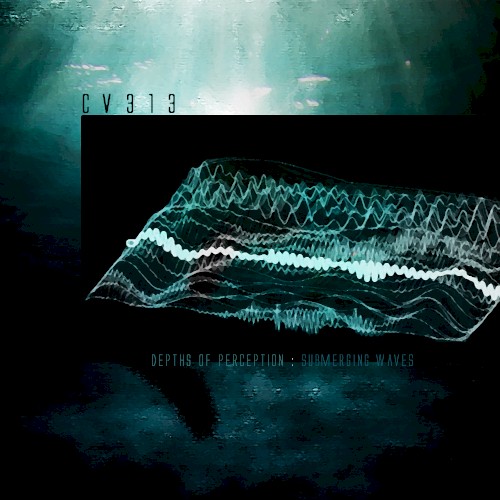 depths of perception : submerging waves