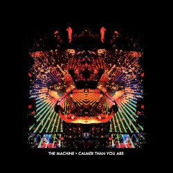Calmer Than You Are