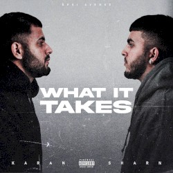 WHAT IT TAKES