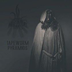 Tapeworm Pyramids
