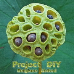 Project DIY - Belgians United