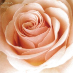 Best Flower -B side collection-
