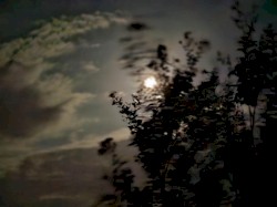 tenebris luna