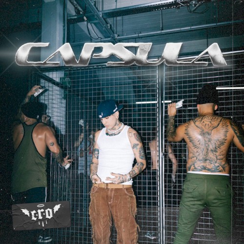 Capsula
