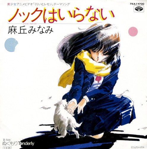 ノックはいらない／ぬくもりTenderly