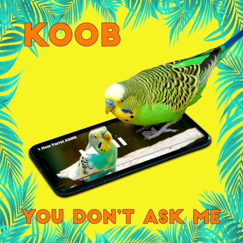 You Don't Ask Me