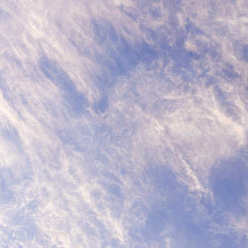 Lilac in the Sky