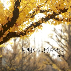 月明かりに照らされて