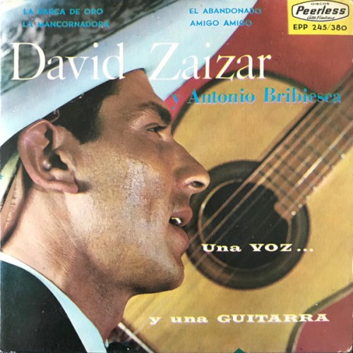 Una voz ... y una guitarra