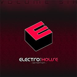 Electronic House Sensation Vol.6