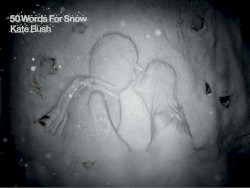 50 Words for Snow