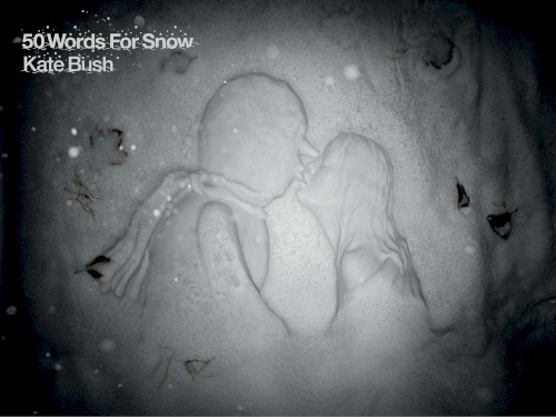 50 Words for Snow