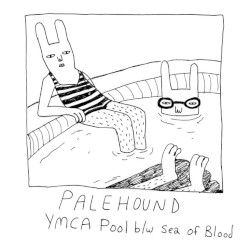 YMCA Pool