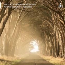 Pathway to Eternity (dub remix)
