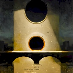 Binary Back Hole