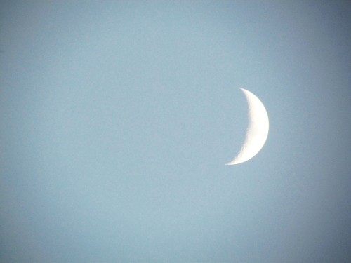 U.S. Moon Landing