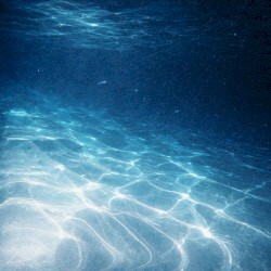 Ocean