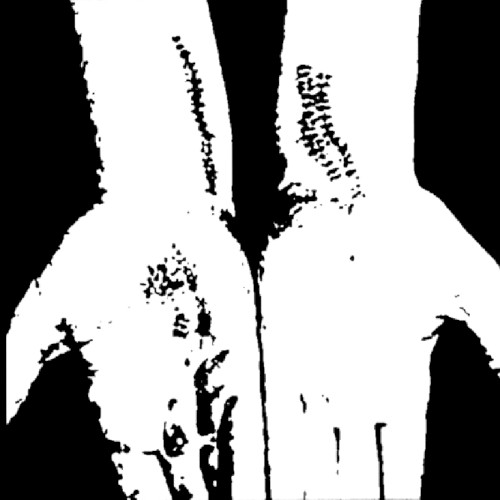 Collection 2005-2007