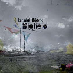 Bigfield