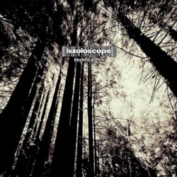 Raudivian Device (Ziguo Chen remix)