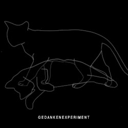 Experiment Defined