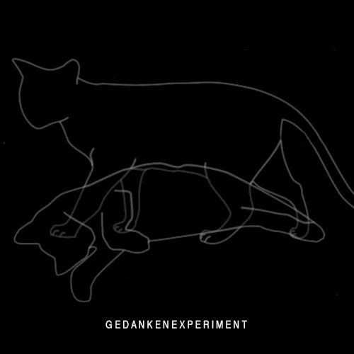 Experiment Defined