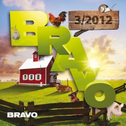 Bravo Hits 2012/3