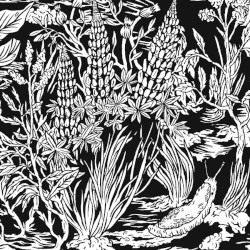 Wild Strawberries