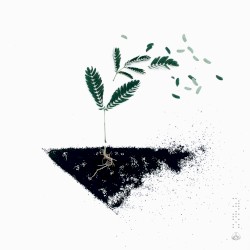 Earth