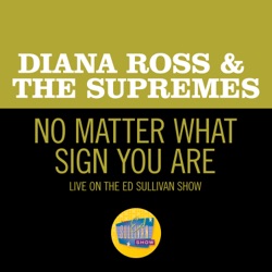 No Matter What Sign You Are