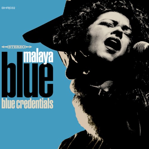 Blue Credentials