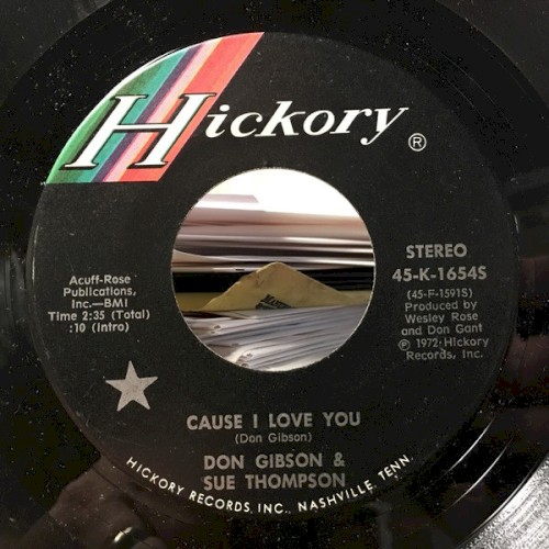 Cause I Love You