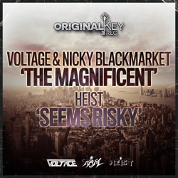 The Magnificent / Seems Risky