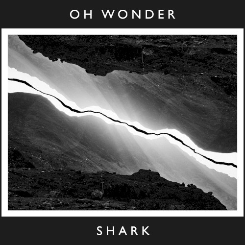 Shark (10 Years On)