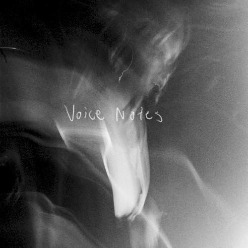 Voice Notes