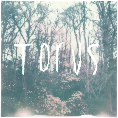 Torus
