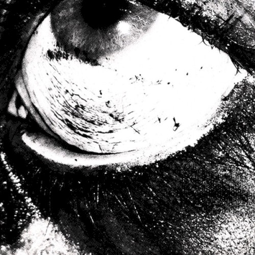 Bound to Misery